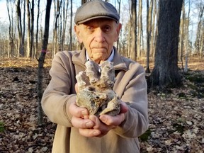 Cliff Keeling, of Rockford, Ont. on Monday, Dec. 13, 2021, with the 440-million-year-old fossilized coral which he found in the roots at the base of a tree behind his house. (Scott Dunn/The Sun Times/Postmedia Network)