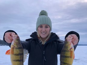 Shelby Gustafson with a pair of nice perch from Lake of the Woods.