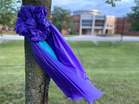 Purple ribbons have been placed on trees outside of Holy Trinity Catholic High School in Simcoe in memory of former student Alex Dalton, 23, who was killed in a hit-and-run collision near Hagersville on April 23. Police are still searching for the driver responsible for Dalton's death.