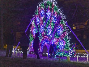 A large light sculpture in the shape of a peacock is one of the favourite displays for people attending the Brantford Lights at Glenhyrst.