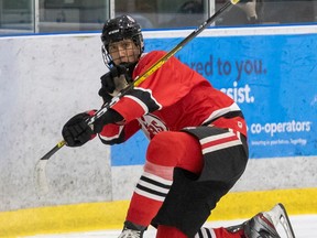 Brendan Anderson of the Brantford 99ers reacts after scoring a goal earlier this season in Ontario Junior A Hockey League action. Anderson, from Ohsweken, has 13 goals and 15 assists in 24 games this season, including three goals and an assist during the team's recent three-game winning streak.
