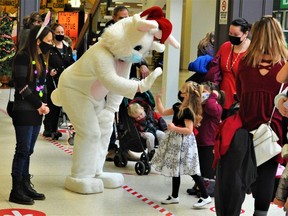 Although it's early December, the Easter Rabbit made a surprise visit to the Cornwall Square on Sunday December 5, 2021 in Cornwall, Ont. Francis Racine/Cornwall Standard-Freeholder/Postmedia Network