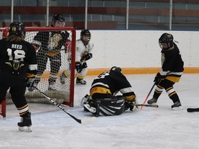 The Hanna Colts U11T4 team hosted Duchess on Dec. 4. While the team had a steady stream of goals throught the three periods, the visiting team outshot them, winning 7-5 over the Colts. The next day the Colts travelled to Brooks where they tied 7-7. Their next home game will be on Dec. 11 at 11:15 a.m. againt Drumheller. Jackie Irwin/Postmedia