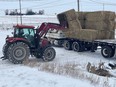 Martin Ritsma loads bales of hay from a farm near Milverton before it's shipped to a farmer in Saskatchewan.