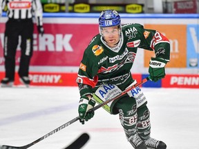 Stratford's Brad McClure, playing in his second season with Augsburg in Germany's DEL league, scored in the Panthers' second game back following a two-week break in the season to deal with the global COVID-19 Omicron variant outbreak.