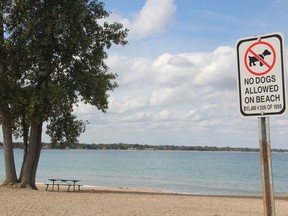 Sarnia is looking for public input on off-leash dog beach and park options in the city. A sign prohibiting dogs on Canatara Beach is pictured.