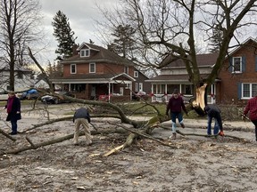 Several residents worked to remove a tree that had fallen across four lanes of Main Street in Port Dover during Saturday's windstorm. SIMCOE REFORMER