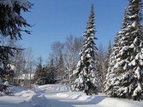 The amount of snowfall Timmins has had in recent weeks has contributed to picturesque scenes, as seen here in Barbers Bay, in addition to heavy demands placed on the city's public works department to clear roadways.

RON GRECH/The Daily Press