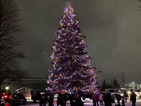 Christmas is a season of light – we may not burn yule logs anymore, but we still light up our trees in a different way. This is the community Christmas tree in Hollinger Park.

Supplied/Lacey Rigg