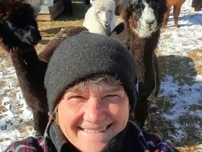 Jo-Anne Burton of Dream Acres poses with some alpacas at her farm east of Timmins. A guided walk with the alpacas is one of the experiences available for locals this holiday season. 

Supplied