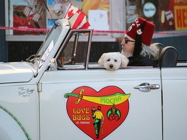 The Love Bugs of the St. Thomas Shrine Club had a canine companion while driving through Woodstock's downtown during Sunday's Santa Claus Parade.
BRUCE URQUHART/SENTINEL-REVIEW