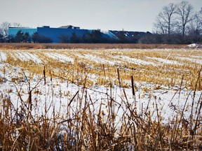 Hastings Park subdivision residents say they are worried about a large traffic increase in their neighbourhood when a proposed 695-unit Village of Avonlea subdivision is built nearby on Avonlough Road on vacant farmland pictured here Tuesday in west Belleville. DEREK BALDWIN