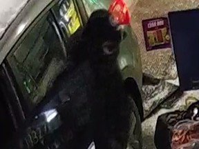 A grey Nissan Versa Note was stolen from outside a Douglas Street convenience store on Tuesday night. While the vehicle was recovered, police are still seeking the suspect — captured in this security image, clad in black, with a face covering — and are looking for the public’s help in identifying the individual.