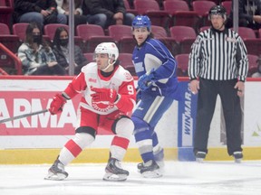Soo Greyhounds defenceman Robert Calisti in action against the Sudbury Wolves on Dec. 29. Calisti leads the OHL in goals scored by a defenceman with 11 markers in 30 games played.