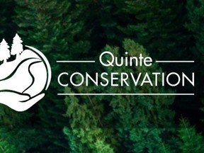 0113 bi quinte conservation