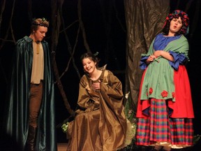 Members of Lambton Young Theatre Players are shown in a previous production.