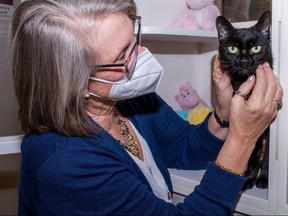 Kathrin Delutis, chief executive of the Humane Society of Kitchener Waterloo & Stratford Perth, greets Bella at the organization's Stratford branch. 
(Chris Montanini/Stratford Beacon Herald)