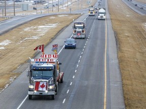 Trucks in the “freedom convoy” head east on the Trans-Canada Highway east of Calgary on Monday, Jan. 24. The truckers are driving across Canada to Ottawa to protest the federal government’s COVID-19 vaccine mandate for cross-border truckers. GAVIN YOUNG/POSTMEDIA