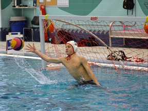 The Parkland Polo Bears water polo club is one of several Edmonton area clubs that belong to the Alberta Water Polo Association. The club holds several practices a week at the Tri Leisure Centre in Spruce Grove. Kristine Jean