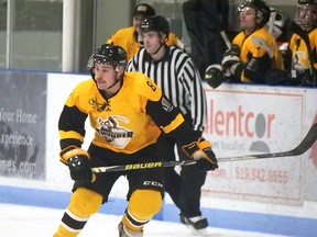 The Tillsonburg Thunder are back on home ice Saturday, Feb. 5 when they host the Alvinston Killer Bees in WOSHL hockey action. (Chris Abbott/Norfolk and Tillsonburg News)
