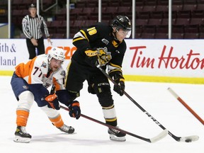 Sarnia Sting's Ben Lalkin (10) is pursued by Flint Firebirds' Zacharie Giroux (77) in the first period at Progressive Auto Sales Arena in Sarnia, Ont., on Saturday, Jan. 8, 2022. Mark Malone/Chatham Daily News/Postmedia Network