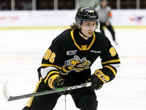 Sarnia Sting's Ty Voit plays against the Windsor Spitfires in the first period at Progressive Auto Sales Arena in Sarnia, Ont., on Friday, Jan. 14, 2022. Mark Malone/Chatham Daily News/Postmedia Network