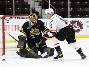 Owen Sound Attack's Logan LeSage goes after a rebound in front of Sarnia Sting goalie Ben Gaudreau in the first period at Progressive Auto Sales Arena in Sarnia, Ont., on Friday, Jan. 21, 2022. Mark Malone/Chatham Daily News/Postmedia Network