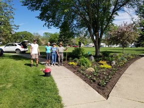Community members helping plant the Devon Nordic Bed in Centennial Park in June 2021.