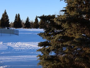 Stony Plain Golf Course offers over three kilometres of groomed cross-country skiing trails open to the public seven days a week. File photo.