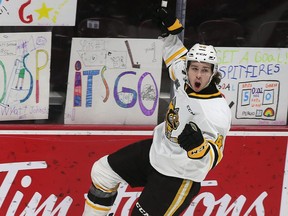 Nolan DeGurse of the Sarnia Sting celebrates a first-period goal against the Windsor Spitfires on Thursday, January 27, 2022, at the WFCU Centre in Windsor, Ont. (The Windsor Star - Dan Janisse)