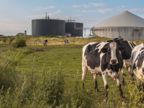 methane biodigester