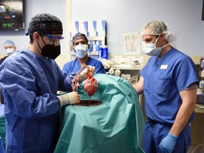 On Jan. 7, surgeons at the University of Maryland Medical School performed a transplant of a heart from a genetically modified pig to human in a first of its kind procedure.