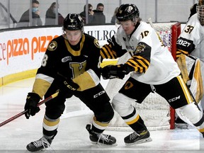 Kingston's Martin Chromiak (left) protects the puck from Hamilton defenceman and Brockville native Gavin White during a Frontenacs-Bulldogs game in Kingston on Dec. 10.
Ian MacAlpine/Postmedia Network