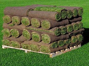 A pallet of sod, from Strathroy Turf Farms.