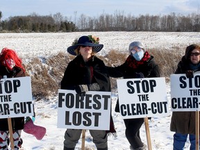 Members of the Raging Grannies went to two properties in Chatham-Kent on Sunday to express concern about trees on woodlots being cut while a temporary ban on large-scale cutting of woodlots is in effect across the Municipality of Chatham-Kent. These members who want to remain anonymous, are seen here on Botany Line, south of Thamesville, near a woodlot in the distance where tree cutting has taken place. Ellwood Shreve/Postmedia