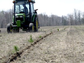 A St. Clair Region Conservation Authority machine-planting crew plants seedlings at a local landowner's property. The authority is accepting tree orders for the 2022 season until March 25.