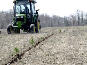A St. Clair Region Conservation Authority machine-planting crew plants seedlings at a local landowner's property. The authority is accepting tree orders for the 2022 season until March 25.