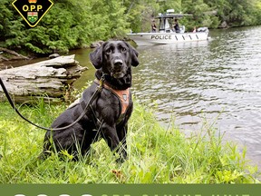 Proceeds from sales of the 2022 OPP Canine Unit Calendar go to the OPP Youth Foundation and the Friends of the OPP Museum. Handout