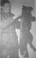 Photo supplied
John Haegeman holding his Silver Fox that he trapped back in 1968 off Miller Road.
