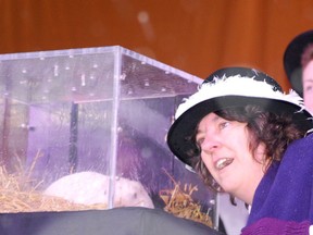 South Bruce Peninsula Mayor Janice Jackson leaned in next to Wiarton Willie on Groundhog Day in 2020. Like last year, this year's prediction event will take place online on Feb, 2, and with a new big brown Wiarton Willie. [Denis Langlois/The Sun Times]