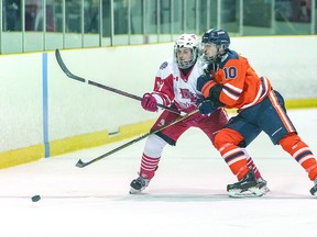 Soo Thunderbirds are in the mix for first place in the West Division of the Northern Ontario Jr. Hockey League while the Elliot Lake Red Wings are chasing a playoff spot. BOB DAVIES