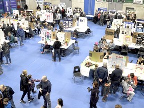 The 2019 Lambton County Science Fair is shown in this file photo. Organizers hope to return to an in-person event this year after holding a virtual fair in 2021.