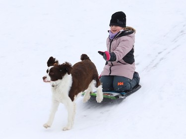 Yoshi the dog runs with Riley Mascioli, 7, as she slides down a hill in Lively, Ont. on Tuesday January 4, 2022. John Lappa/Sudbury Star/Postmedia Network