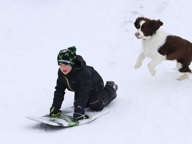 Yoshi the dog chases after Asher Donnelly, 7, while he slides down a hill in Lively, Ont. on Tuesday January 4, 2022. John Lappa/Sudbury Star/Postmedia Network