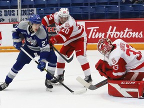 Quentin Musty, left, of the Sudbury Wolves, looks for a rebound in front of goalie Samuel Ivanov, of the Soo Greyhounds, during OHL action at the Sudbury Community Arena in Sudbury, Ont. on Tuesday January 4, 2022. John Lappa/Sudbury Star/Postmedia Network