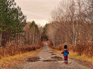 Fall Category Winner: "Puddle Jumper" by Debb Trahan-Pero. 'My grandson frolicking on the trails.' Supplied