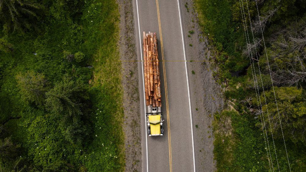 Quarter million hectares of 'highvalue primary forest' in Prince