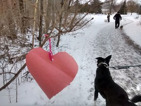 Paper hearts fluttering in February along the Pinafore Park trail to Lake Margaret
Eric Bunnell
