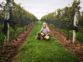 Moe McVey and her nine-year-old miniature poodle, Bowie, who Moe calls her teammate, won the Railway City Arts Crawl Scavenger Hunt by undertaking pandemically safe visits to more than 80 local attractions. They are pictured in the vineyard at Quai du Vin Estate Winery, Sparta.
Contributed photo