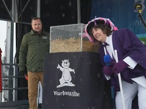 South Bruce Peninsula Mayor Janice Jackson leans down to Wiarton Willie's enclosure before proclaiming an early spring in Wiarton, Ont., on Wednesday, February 2, 2022.
(from video)